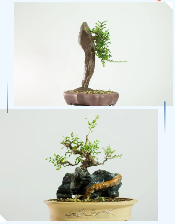 1662945506581936.png 微信截图_20220912091658.png