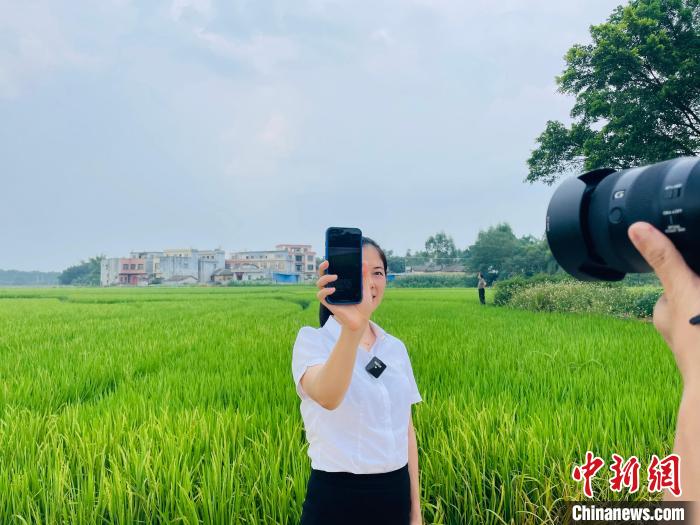 图为项目工作人员展示“云认养”直播画面。 黄令妍 摄 图为项目工作人员展示“云认养”直播画面。 黄令妍 摄