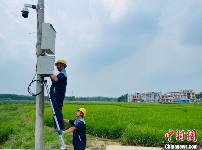 “云上农场”助力广西农民线上产销增收