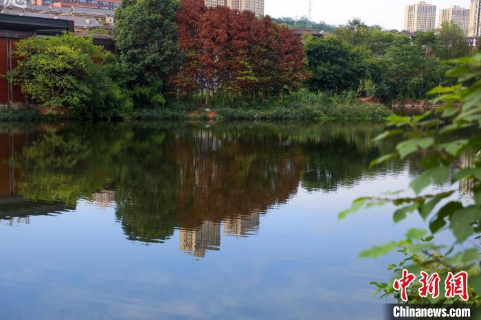 重庆两江新区的肖家沟水库是嘉陵江水系跳墩河的源头,如今已打造成鱼翔浅底的生态之湖。 梁钦卿 摄 重庆两江新区的肖家沟水库是嘉陵江水系跳墩河的源头,如今已打造成鱼翔浅底的生态之湖。 梁钦卿 摄