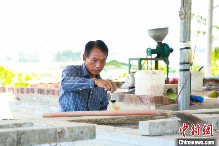 六旬台商“登陆”广西：觅得一方“宝地”倾尽毕生所学