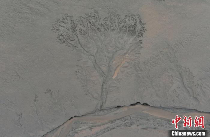 大自然的鬼斧神工：钱塘江退潮现“大地之树”
