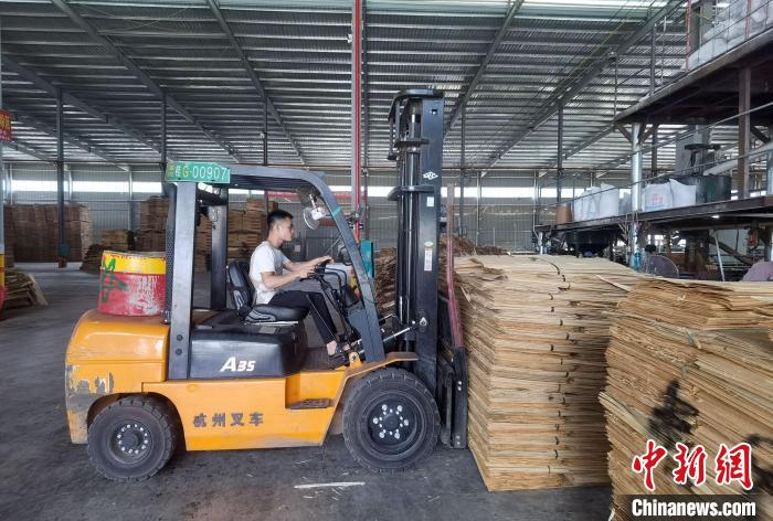 覃雪嫔丈夫在工作中。　蒋雪林 摄