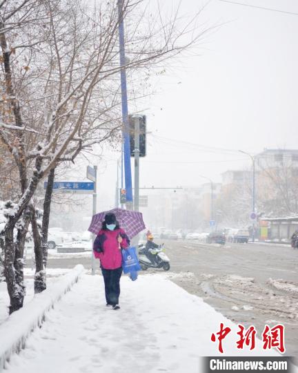 长春市民冒雪出行。 郭佳 摄 长春市民冒雪出行。 郭佳 摄