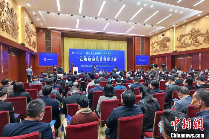 院士专家聚焦云南绿色低碳发展新路径