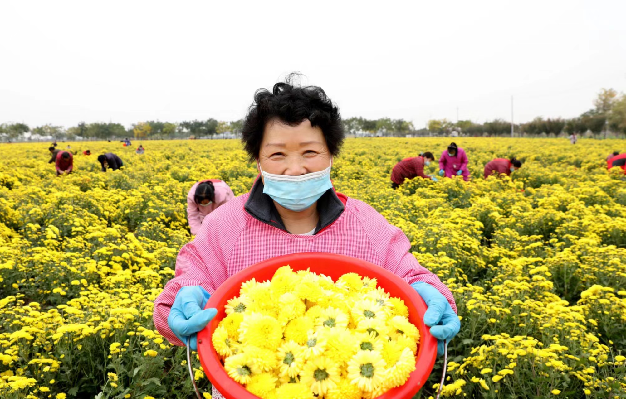 1668923255538852.jpg 微信图片_202211201345121.jpg