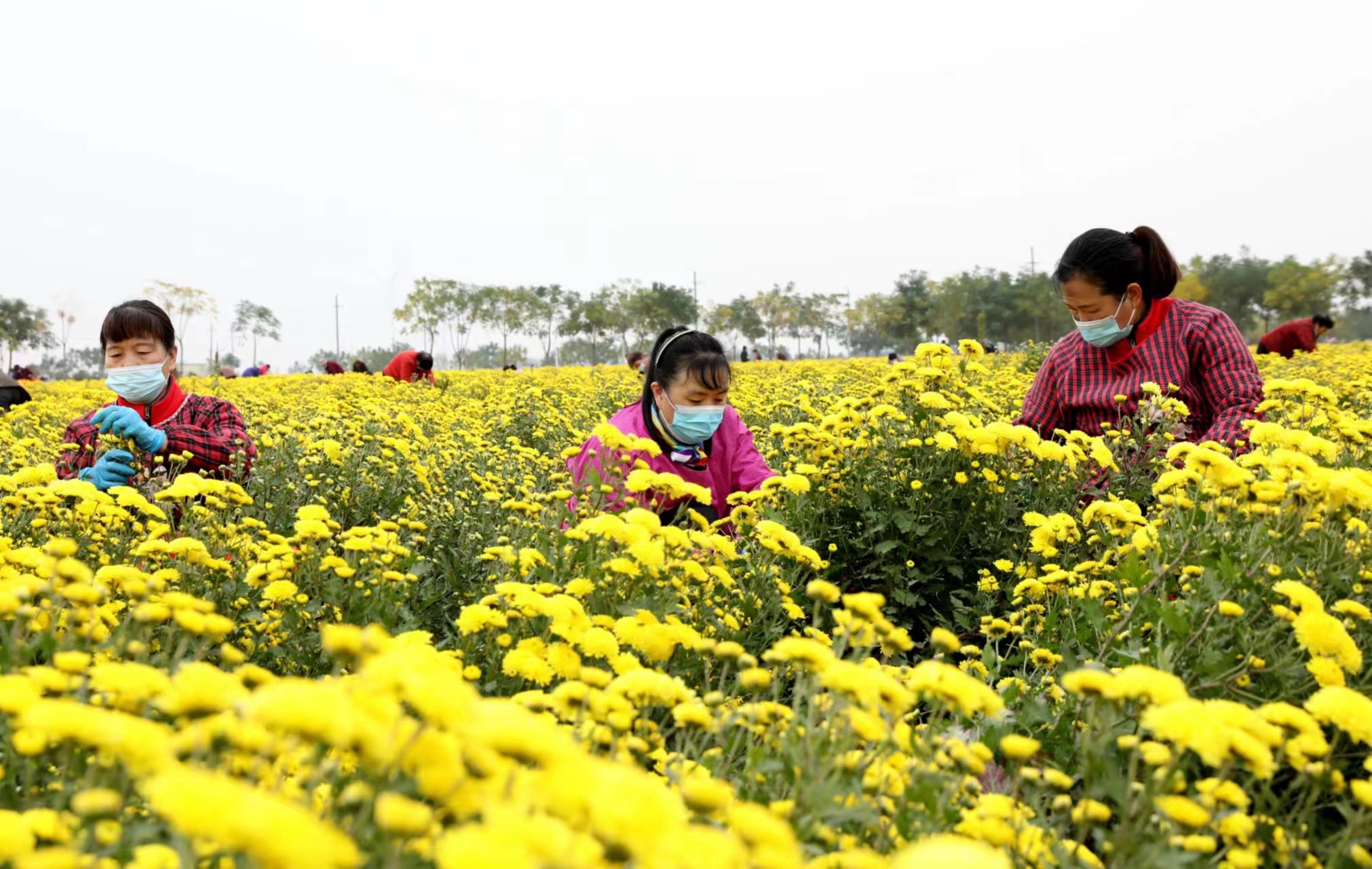 1668923386747912.jpg 微信图片_20221120134512.jpg