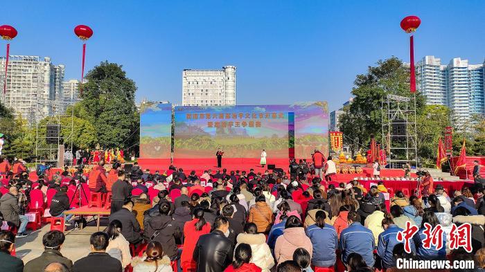 图为广西荔浦市第六届荔浦芋文化节开幕式暨荔浦芋王争霸赛现场。　杨宗盛 摄