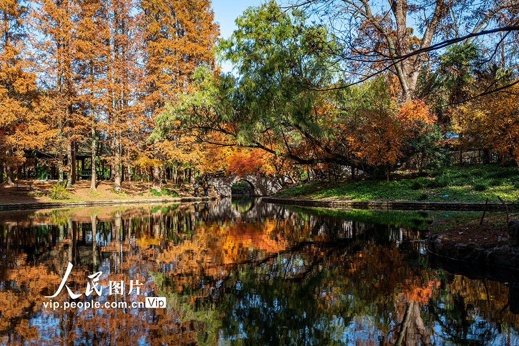 上海：冬日“画”中游