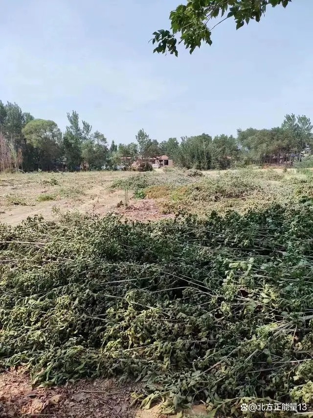 1671879645248804.jpg 1671879645248804.jpg