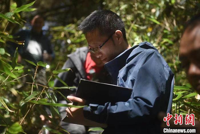 湖北恩施：破解“菌密码”守护民众“舌尖安全”