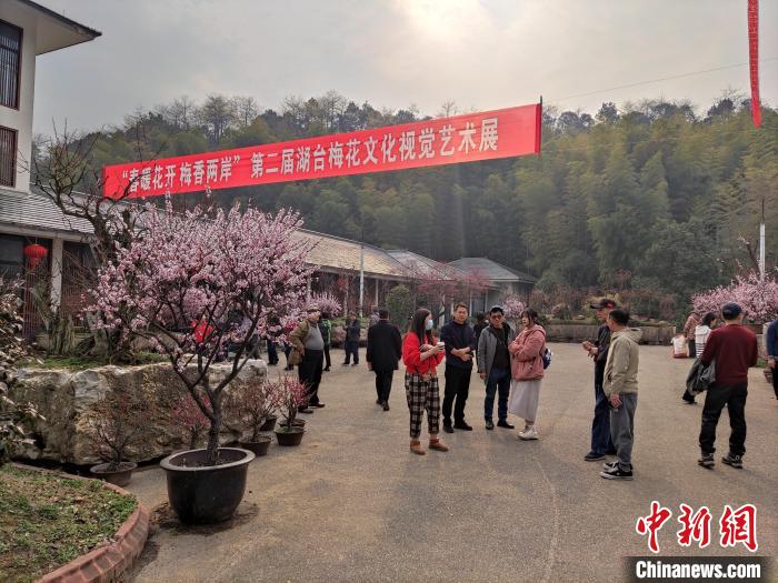 浙江湖州台胞台属“细嗅梅香”:推进两岸梅文化发展