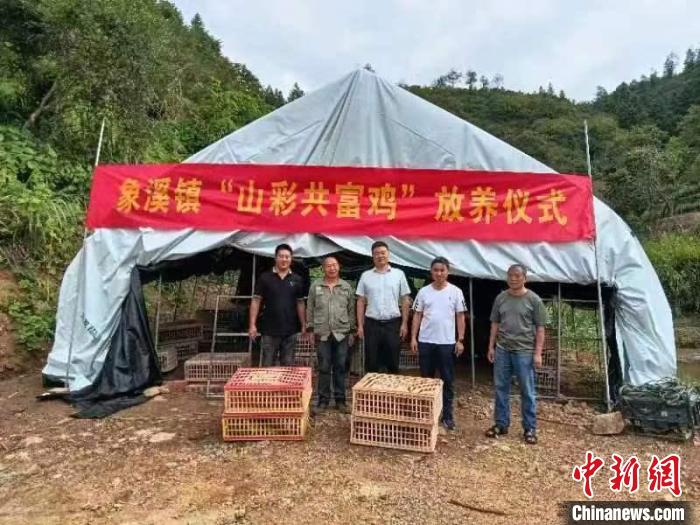 产学研“飞进”畲族村浙江九三学社铺设乡村振兴“起落道”