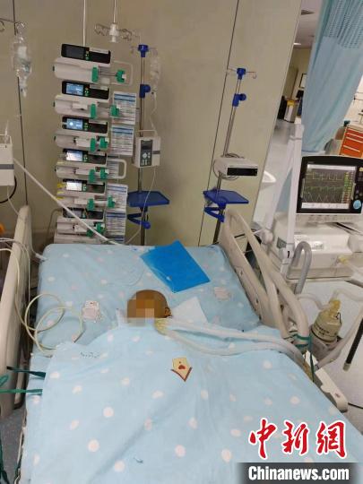 图为“小红薯”在ICU治疗。 魏巧玲供图 图为“小红薯”在ICU治疗。 魏巧玲供图