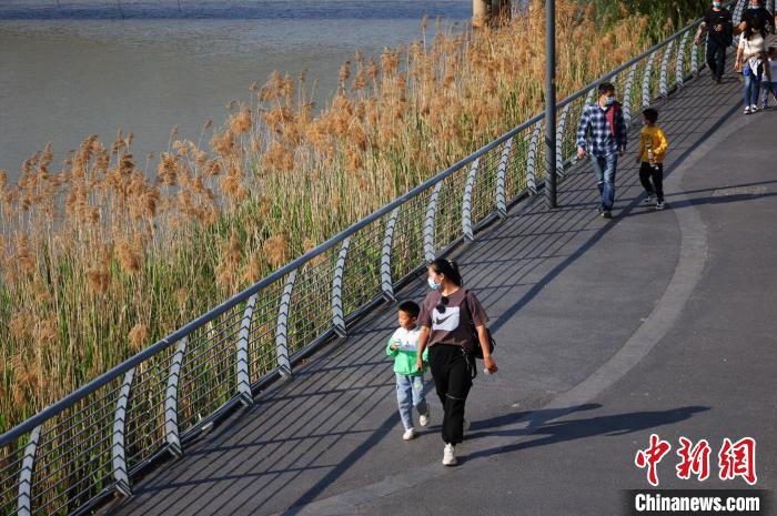 随着长江大保护工作的落实，保护区江豚栖息地环境质量得到明显提升。(资料图) 泱波 摄