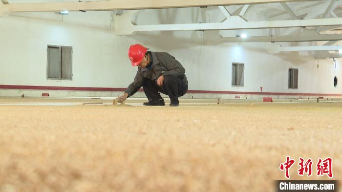 甘肃岷县“守粮人”30载：从“观摁尝闻”到智能化管理