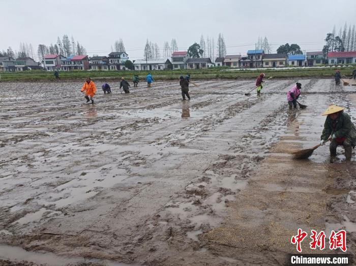 沅江田间地头春潮涌，万亩沃野备耕忙。　沅江宣传部 供图