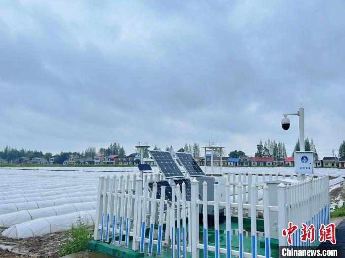 中联重科沅江智慧农业示范基地现场。　刘美玲 摄