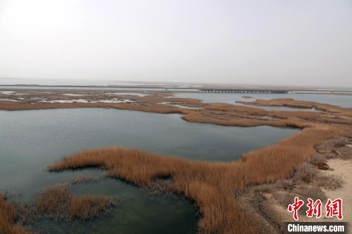 在台特玛湖观测站瞭望高塔上拍摄的台特玛湖区一角。　<a target='_blank' href='/'>中新社</a>记者 孙自法 摄