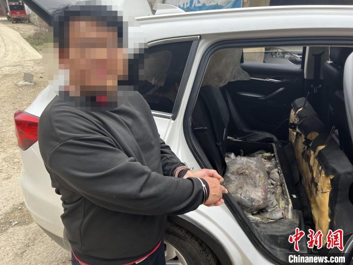 图为嫌疑人对无合法手续鳄鱼爪进行指认。 邓敦宇 摄 图为嫌疑人对无合法手续鳄鱼爪进行指认。 邓敦宇 摄