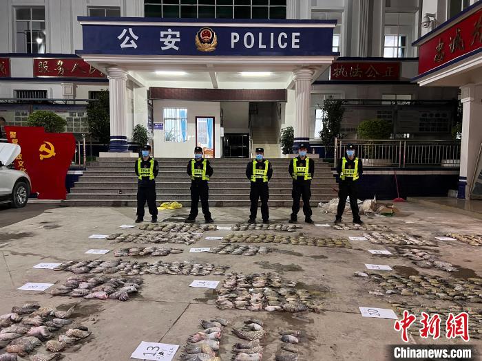 图为移民管理警察对鳄鱼爪清点标号。 邓敦宇 摄 图为移民管理警察对鳄鱼爪清点标号。 邓敦宇 摄