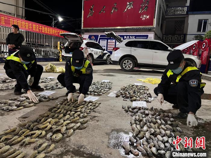 图为移民管理警察对查获的鳄鱼爪进行清点。 邓敦宇 摄 图为移民管理警察对查获的鳄鱼爪进行清点。 邓敦宇 摄