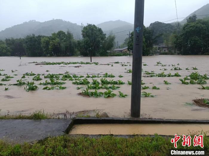 福建邵武遭遇强降雨当地全力组织抢险救灾