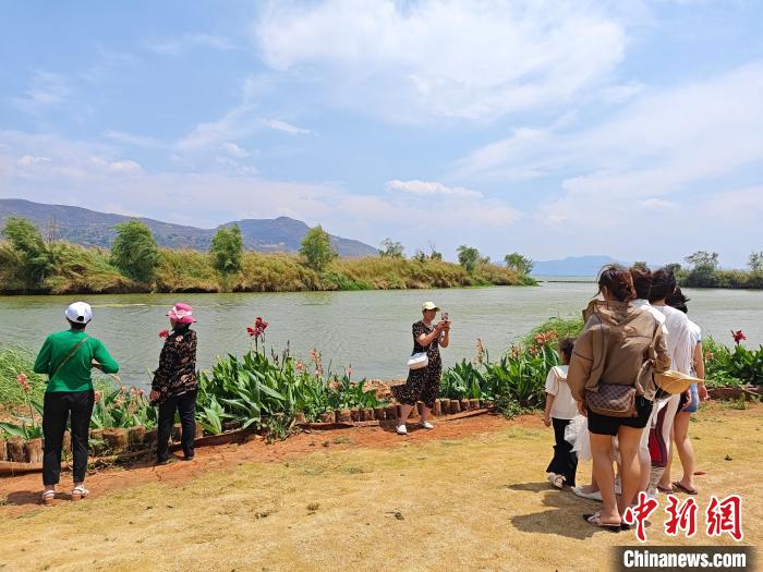 湿地、湖滨带提升改造助云南星云湖美景再现