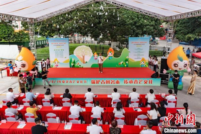 2023年夏茅香芒文化节在白云区白云湖街夏茅276岁的古香芒树下举行 石建华 摄 2023年夏茅香芒文化节在白云区白云湖街夏茅276岁的古香芒树下举行 石建华 摄