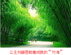 微信截图_20230905071815.png