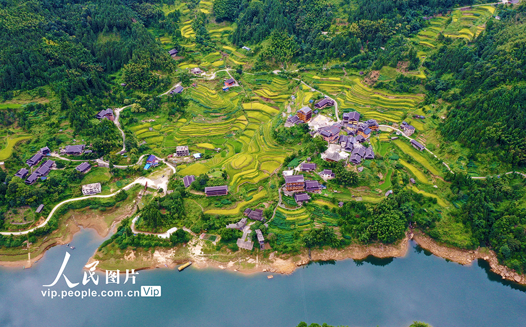 广西融水：山乡“丰”景美