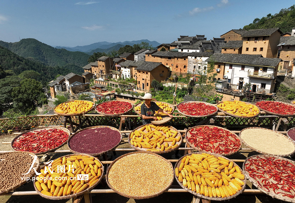 安徽黄山：土楼晒秋