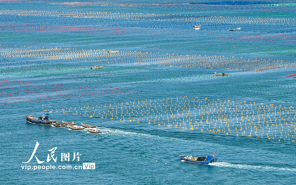 山东荣成：秋日渔耕图
