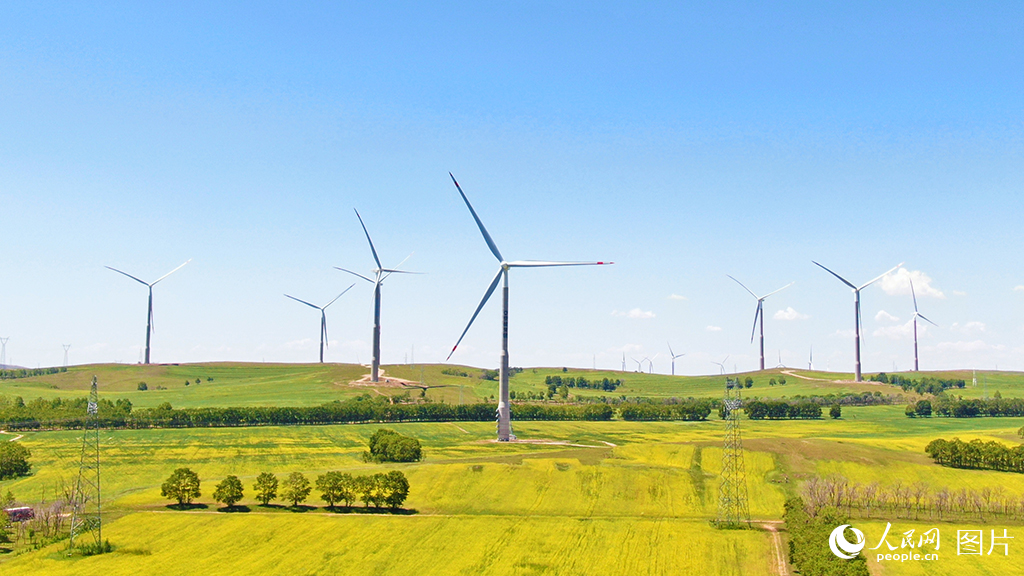 河北张家口康保县满德堂乡的河北鸿蒙风电项目基地。