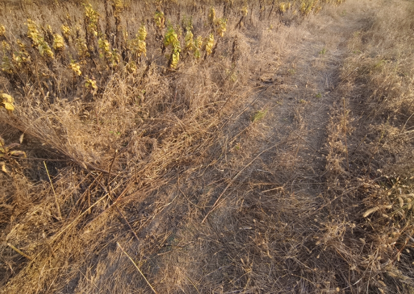 1698629622778498.png 微信截图_20231030093101.png