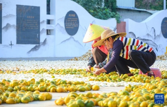 微信截图_20231126193144.jpg